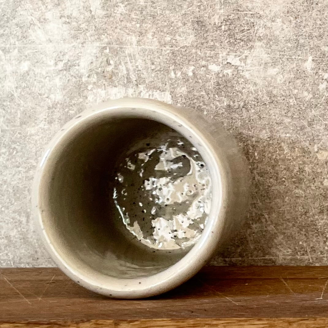 Tumbler mug with tequila saying