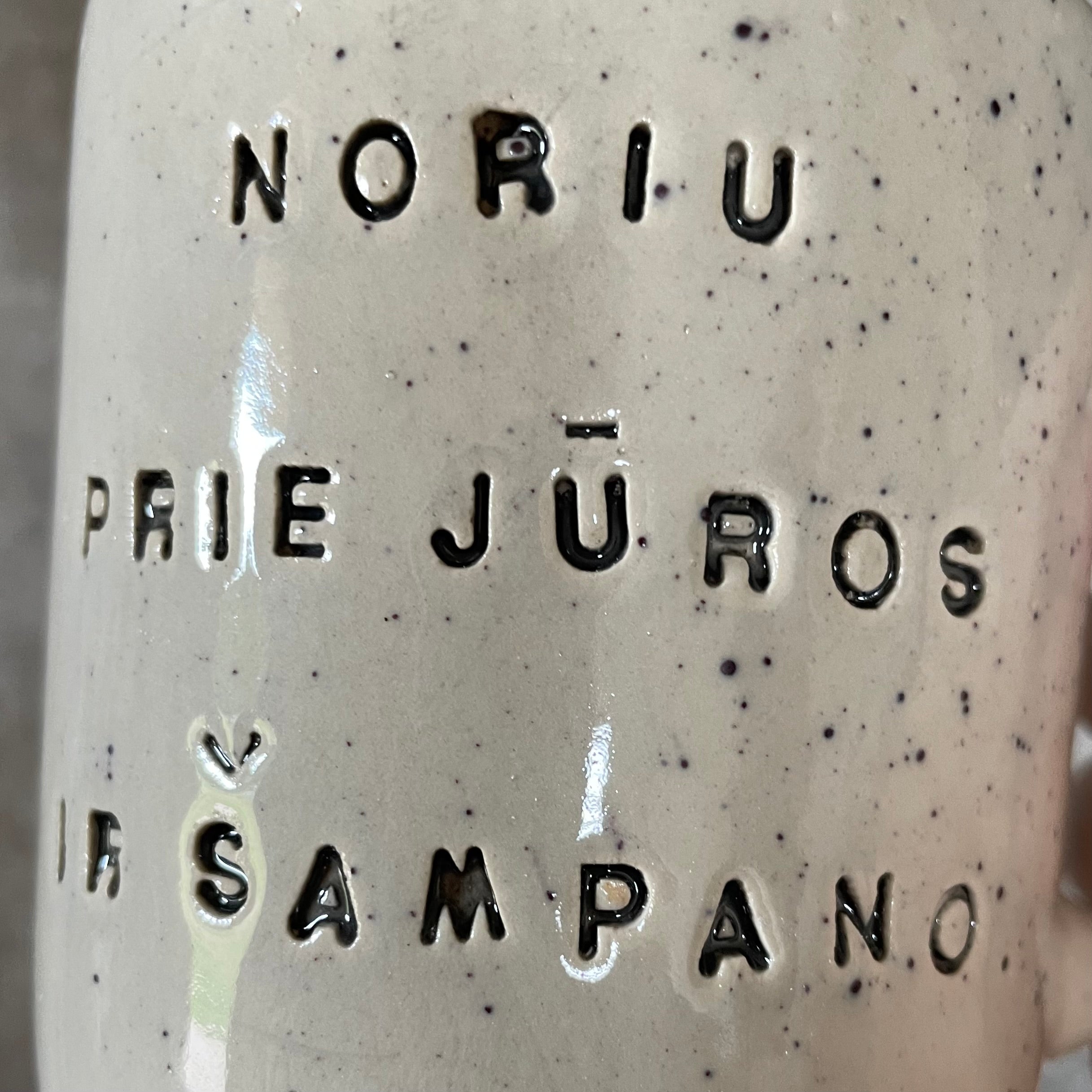 Speckled mug with saying in Lithuanian