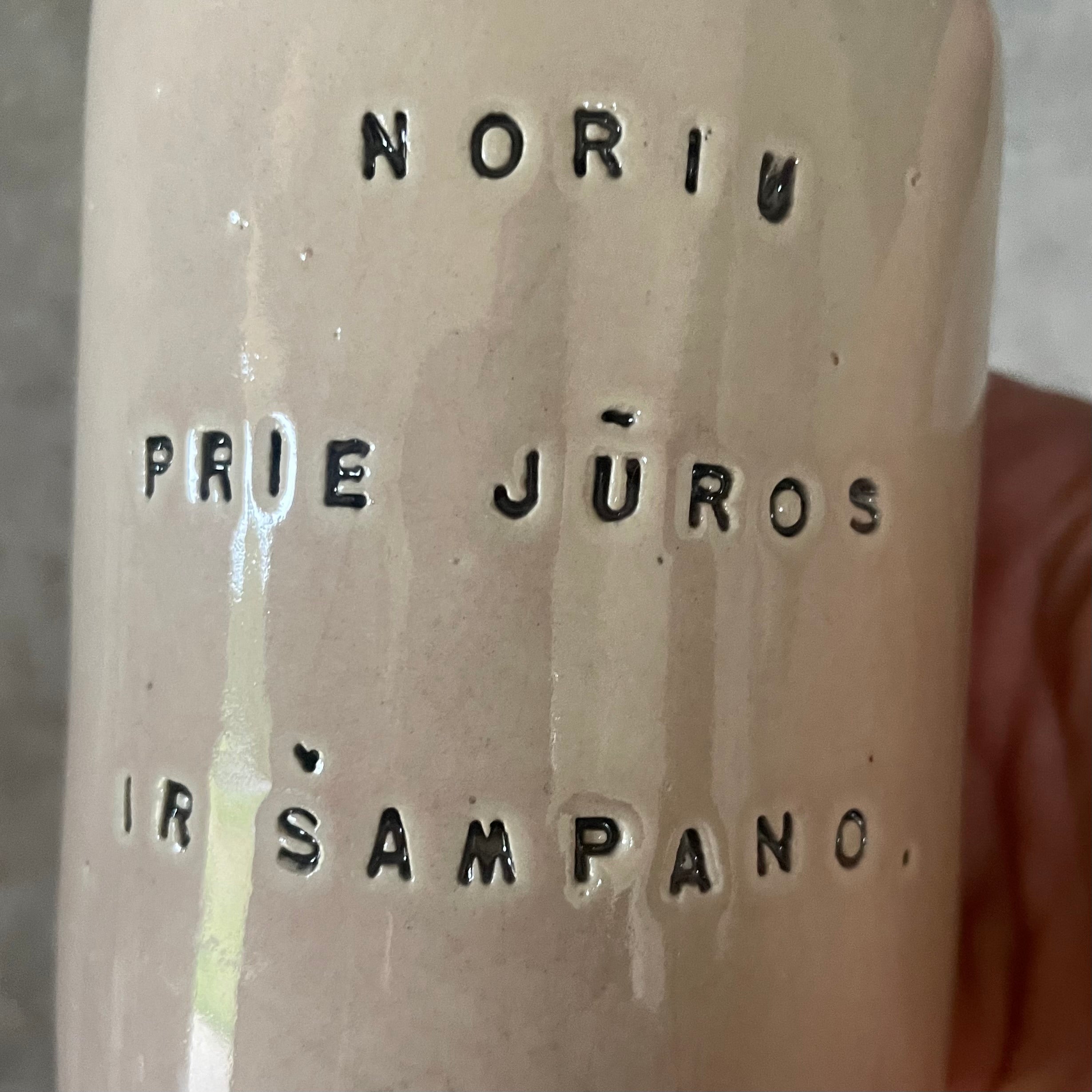 Rožinis puodelis apie jūrą ir šampaną