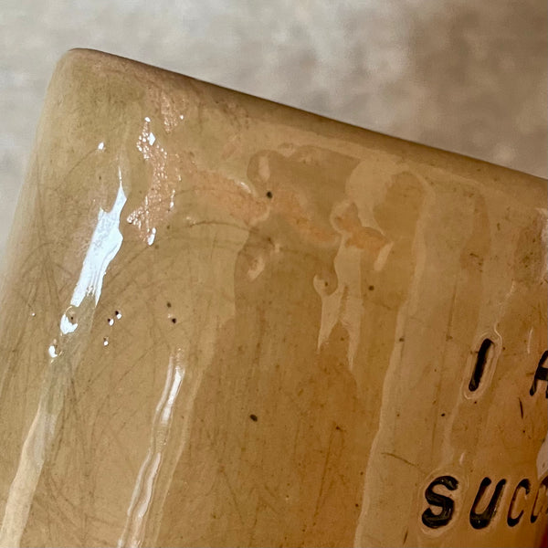 Tumbler coffee mug with funny text