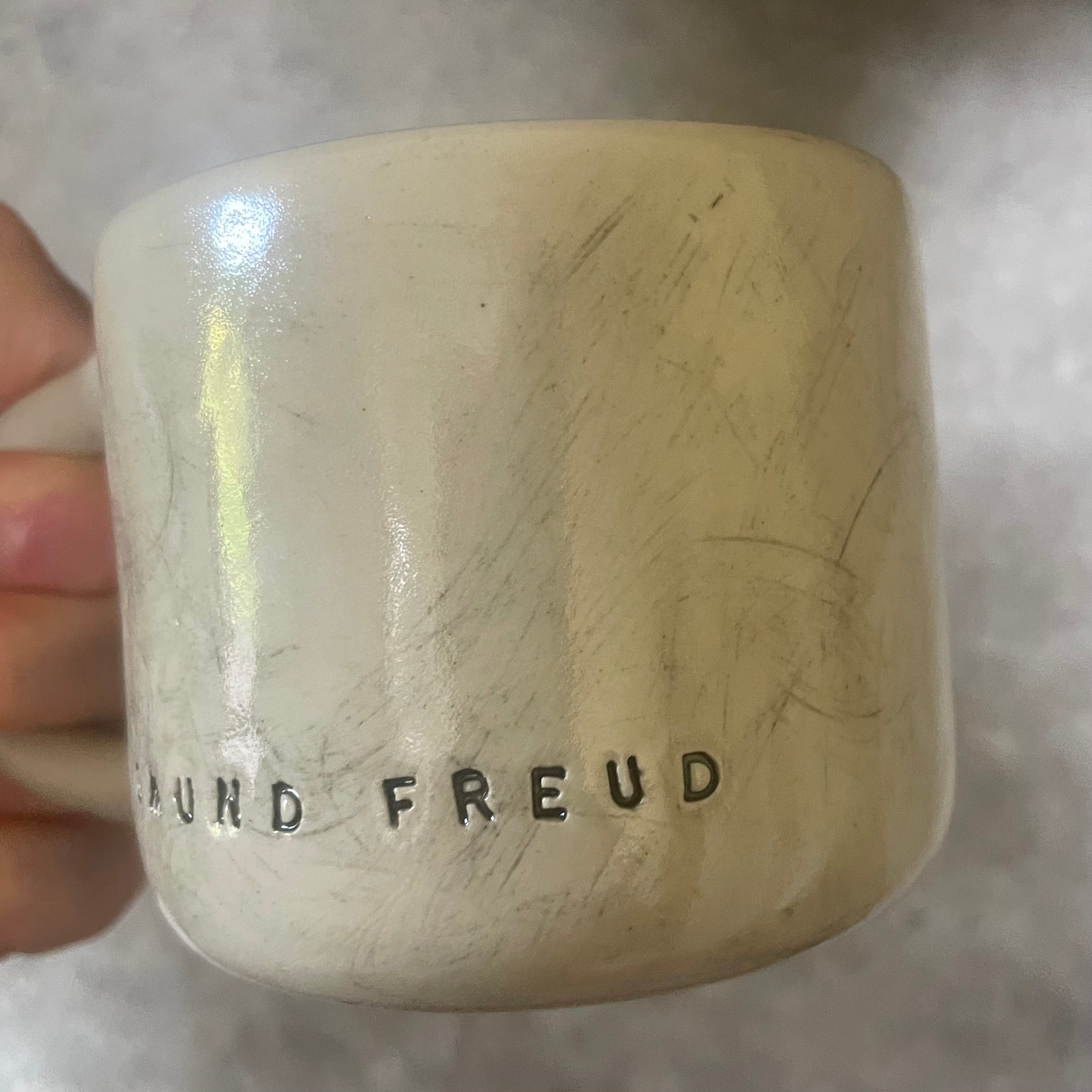 Nedidelis puodelis su Froido citata