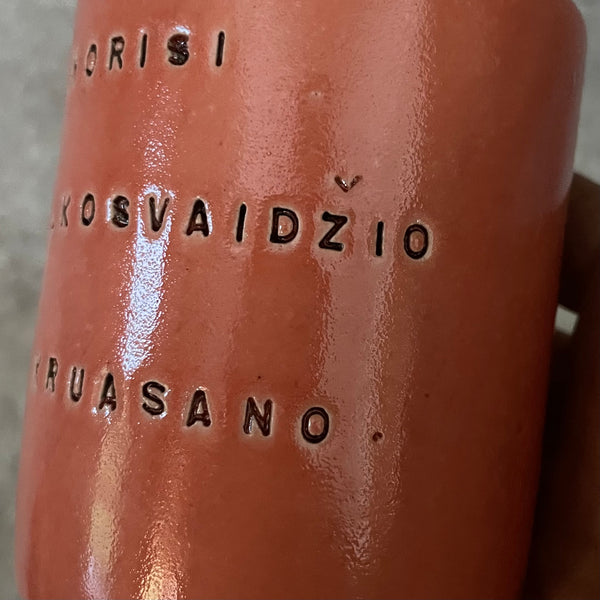Red mug with funny phrase in Lithuanian