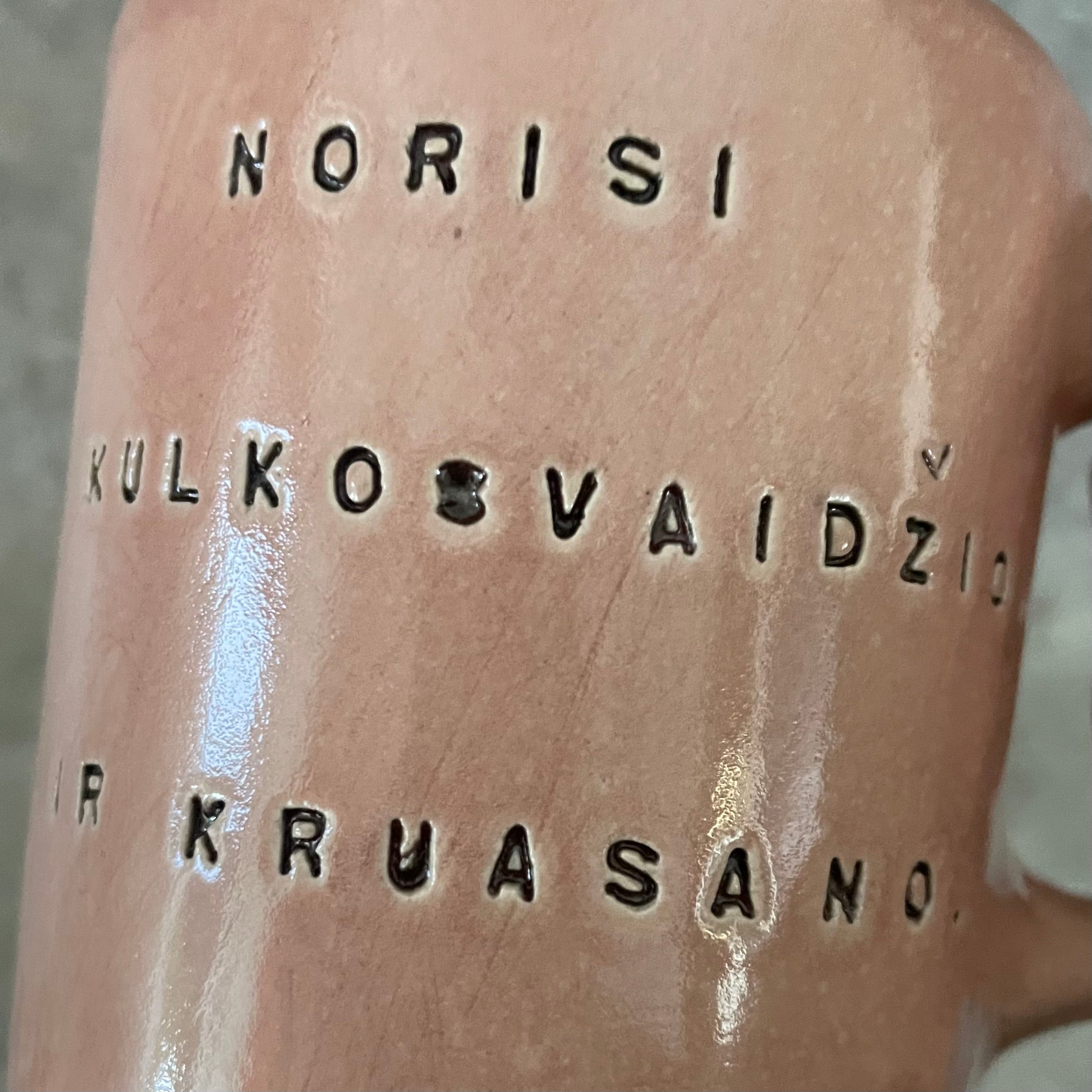 Mug with funny phrase in Lithuanian