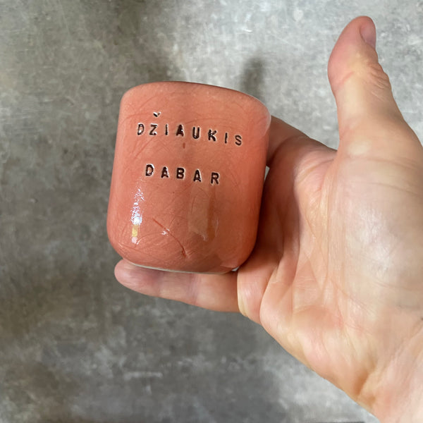 A pair of mugs with words in Lithuanian