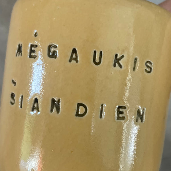 A pair of mugs with words in Lithuanian