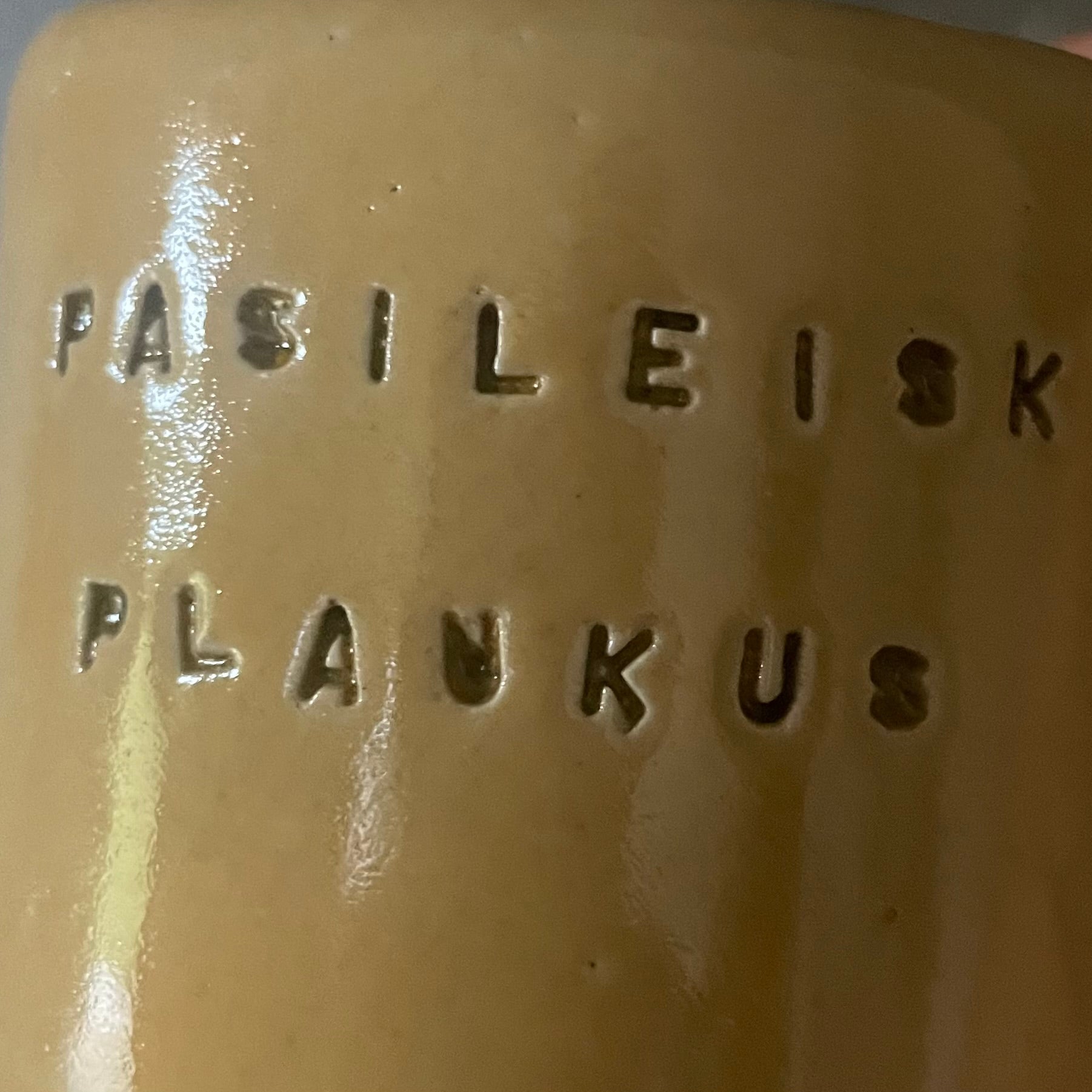 Small mug without handle PASILEISK PLAUKUS