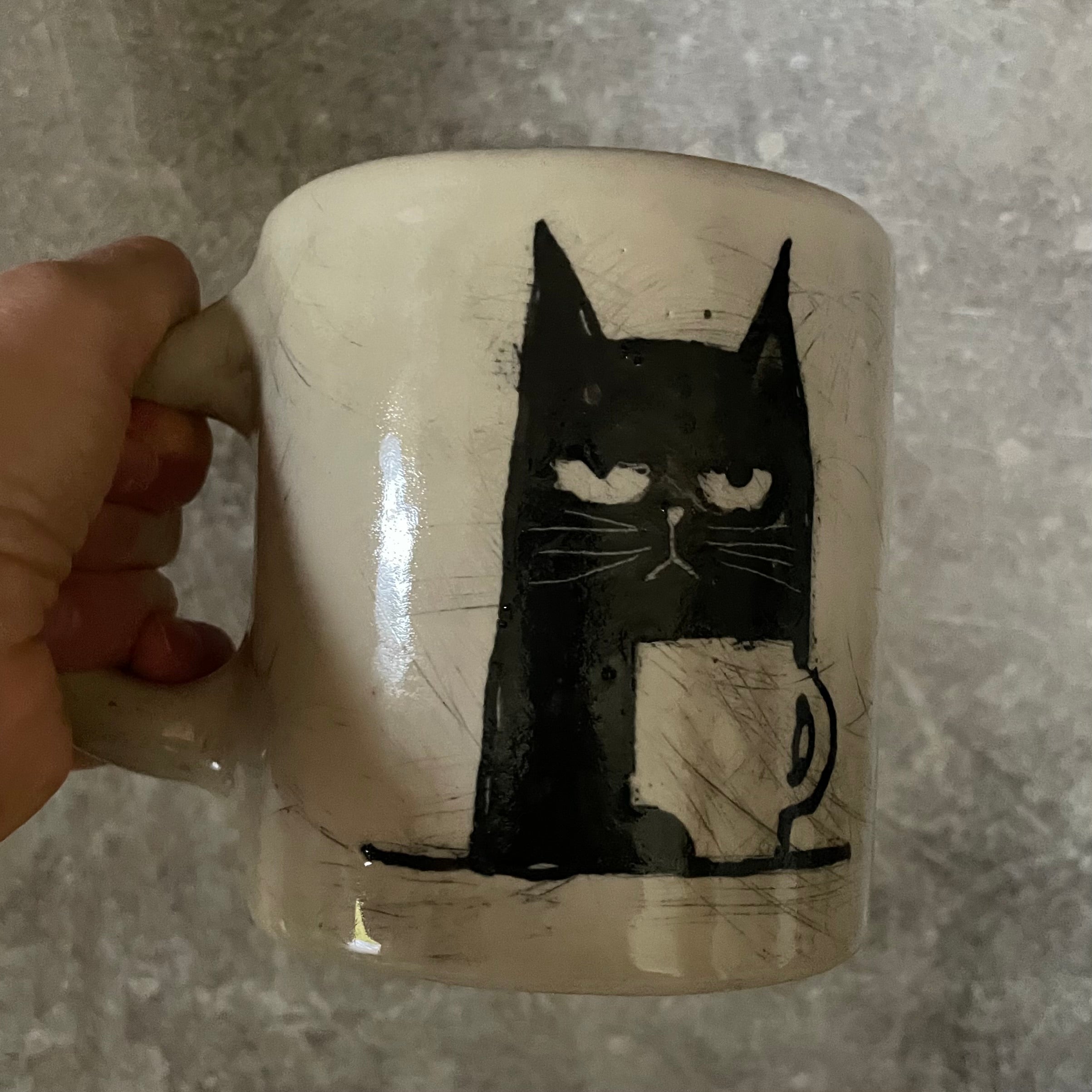 Jumbo big mug with unfriendly cat