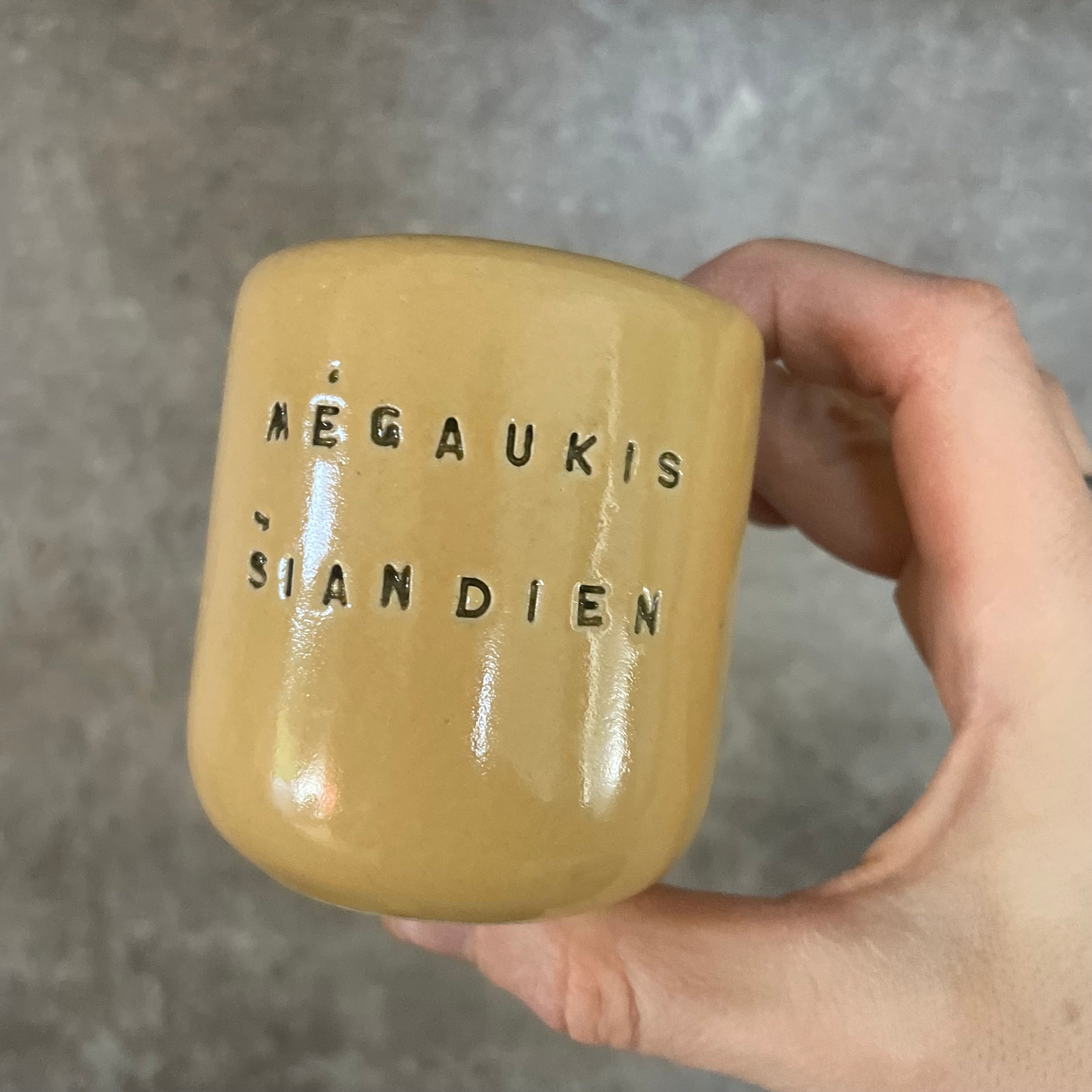 A pair of mugs with words in Lithuanian