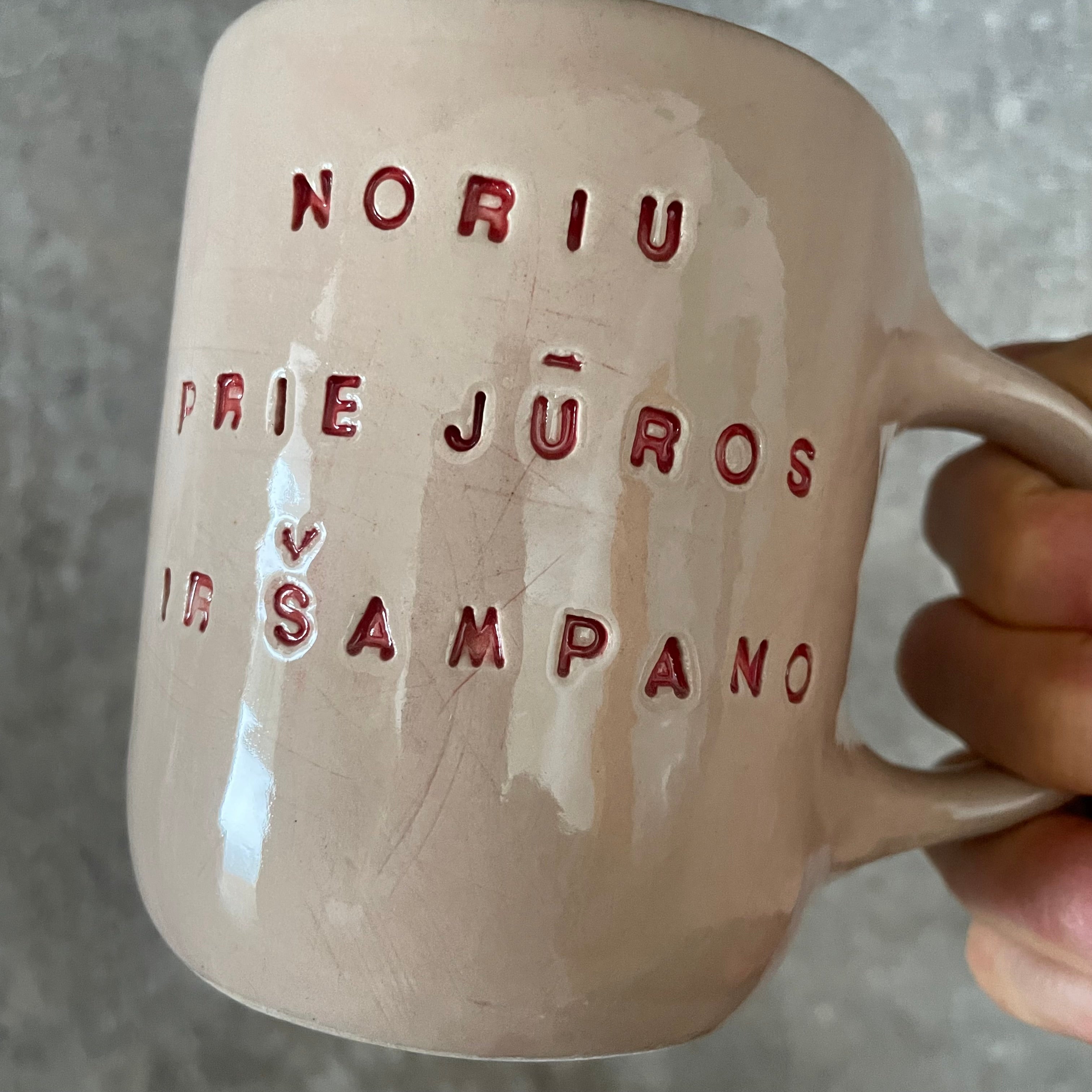 Rausvas puodelis ŠAMPANO