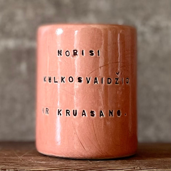 Tumbler mug with funny phrase in Lithuanian